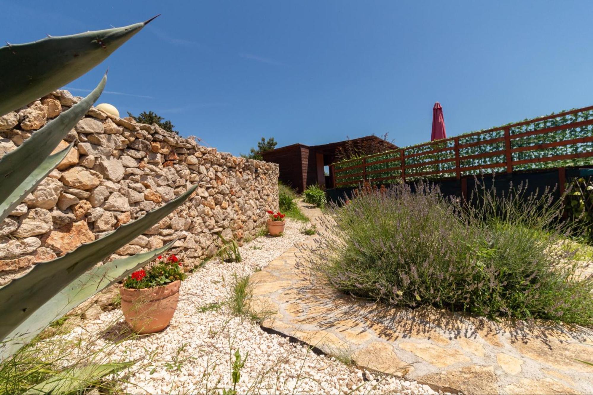 Apartments Ruza Dragove Dugi Otok Dış mekan fotoğraf