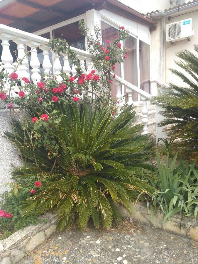 Apartments Ruza Dragove Dugi Otok Dış mekan fotoğraf